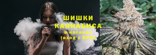 мдпв Болотное