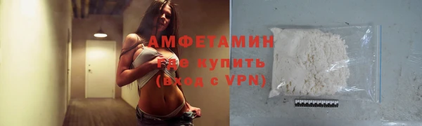 твердый Бородино