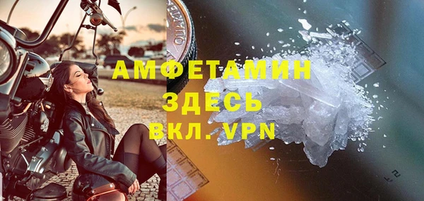 твердый Бородино