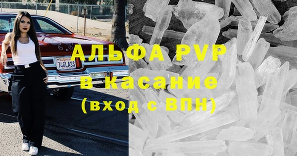 твердый Бородино