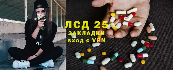 твердый Бородино