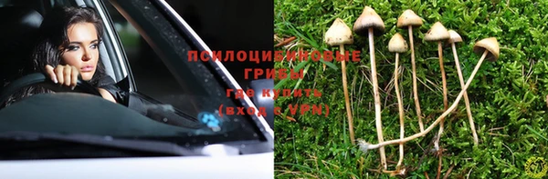 ешки Богородицк