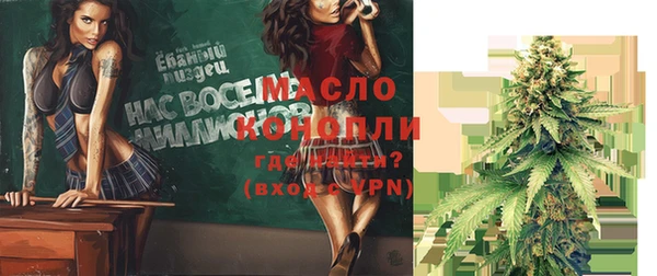 твердый Бородино