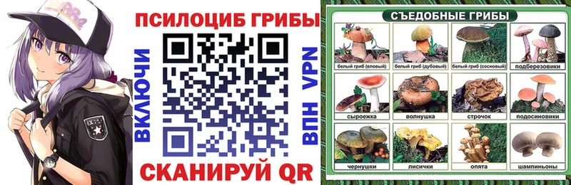 Галлюциногенные грибы Psilocybine cubensis Топки